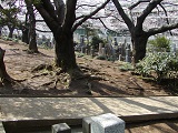 長池-谷田川の水源 長池-谷田川の水源