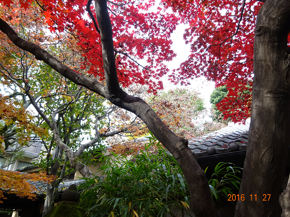 林芙美子邸２