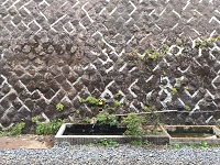 田端駅の金魚池 田端駅の金魚池