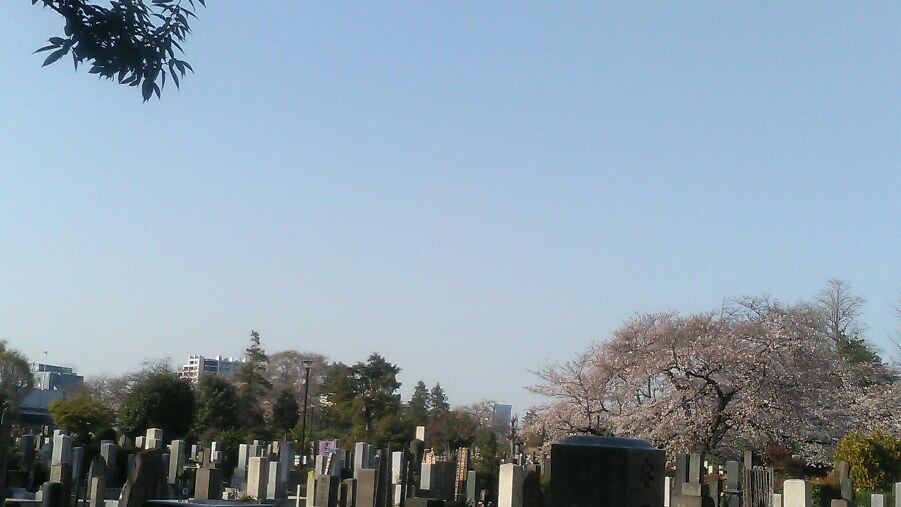 桜染井墓地R02